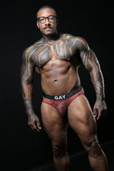 GAY BRIEF - 2 PAIRS RED MESH