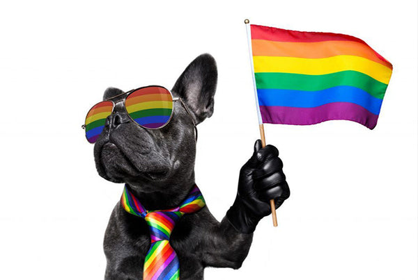 Why Pride is the best